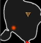 1700216580511.png