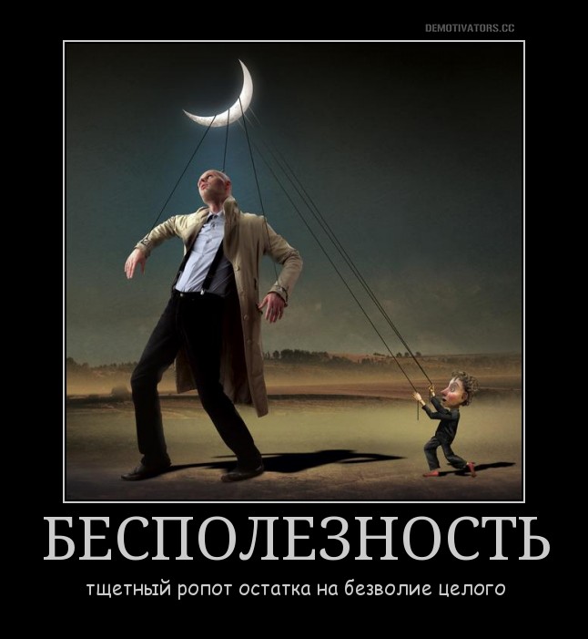 8l3ux6n85zy2fwq4.jpg