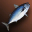 fish_normal_i04.png