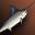 fish_normal_i12.png