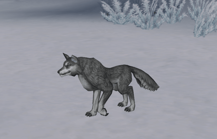 wolf-633ad168eb6ea.png